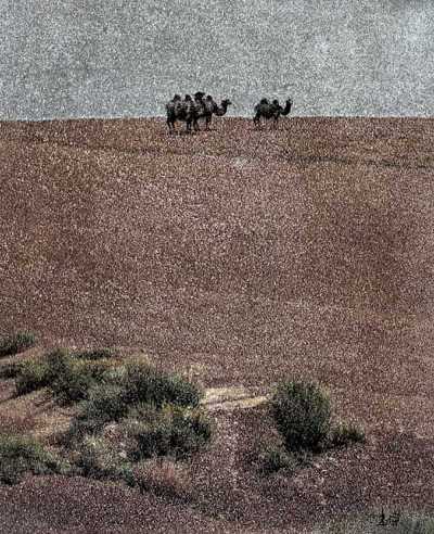 汪志杰 1987年作 灰色戈壁上的野驼